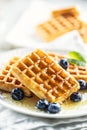 Waffle with honey and blueberries, sweet and vegan breakfast Royalty Free Stock Photo