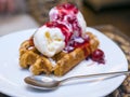 Waffle with ice cream and cherry Royalty Free Stock Photo