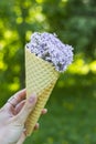 Waffle ice cream cone filled with lilac flowers, concept. Ice cream in a waffle horn. Lilac flowers in a horn. In the girl`s hand Royalty Free Stock Photo