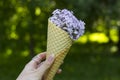 Waffle ice cream cone filled with lilac flowers, concept. Ice cream in a waffle horn. Lilac flowers in a horn. In the girl`s hand Royalty Free Stock Photo
