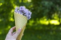 Waffle ice cream cone filled with lilac flowers, concept. Ice cream in a waffle horn. Lilac flowers in a horn. In the girl`s hand Royalty Free Stock Photo