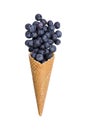 Waffle ice cream cone with fresh blueberry fruits Royalty Free Stock Photo