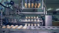 Waffle ice-cream cups are getting relocated from the conveyor belt into a revolving machine