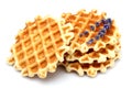 Waffle with a sprig of lavender isolated. Royalty Free Stock Photo