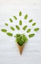 Waffle sweet cone with mint leaves over white wooden background, top view. Flat lay, overhead. Royalty Free Stock Photo