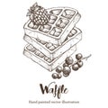 Waffle sweet hand drawing vector sketch illustration