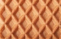 Waffles background cell texture
