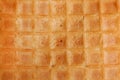 Waffles background cell texture closeup Royalty Free Stock Photo