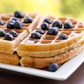 Waffles with blueberries Royalty Free Stock Photo