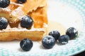 Waffles with blueberries Royalty Free Stock Photo