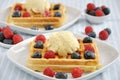 Waffles with ice cream and berries Royalty Free Stock Photo