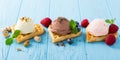 Waffles with ice cream Royalty Free Stock Photo