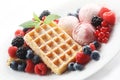 Waffles with Ice Cream an Mixeed Berries Royalty Free Stock Photo