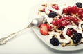 Waffles with strawberry and blackberry Royalty Free Stock Photo