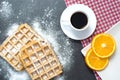 Waffles with sugar Royalty Free Stock Photo
