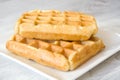 Waffles with sugar Royalty Free Stock Photo