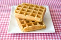 Waffles with sugar Royalty Free Stock Photo