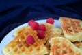 Waffles on a white plate