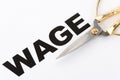 Wage Cut Royalty Free Stock Photo