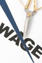 Wage Cut Royalty Free Stock Photo