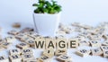 WAGE word letters on the wooden blocks with wooden letters. BUSINESS concept