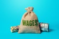 Wages money bag. Business and finance. Income statistics, salary, revenue. Career rise. Promotion. Premiums and allowances,