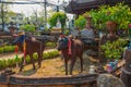 The wagon with the bulls. Sculpture. Thailand. Chiangmai.