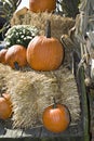 Wagon Fall Harvest Royalty Free Stock Photo