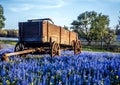 Texas hill country Royalty Free Stock Photo