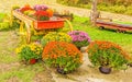 Wagon filled with mums and potted on ground in Fall Royalty Free Stock Photo