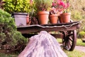 Wagon with flowers, spring with flowerpots in the garden-