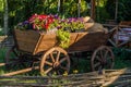 Wagon with flowers Royalty Free Stock Photo