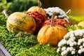 Wagon full of Halloween yellow and green pumpkins. Pumpkin season. Autumn compositions