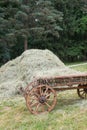 Wagon and hay