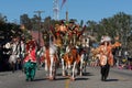 Wagon horses in the 115th Annual Golden Dragon Parade, Lunar New