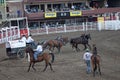 Wagon and horses, race track, Calgary