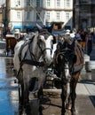 Horses waiting for passengers for a sightseeing ride in Vienna, Austria Royalty Free Stock Photo