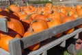 Wagon Load of Maine Halloween Pumpkins