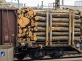 Wagon loaded with wood