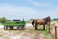 Wagon and team of horses Royalty Free Stock Photo