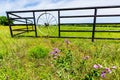 Wagon Wheel Fence and Texas Wildflowers