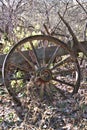 wagon wheel, landscape, wooden, wagon, spoke, old, vintage, rustic, overgrown, farm, farming, pioneer, west, antique, broken down Royalty Free Stock Photo