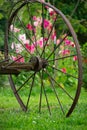 A wagon wheel with pink flowers in the background Royalty Free Stock Photo