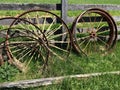 Wagon wheels Royalty Free Stock Photo