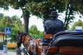 Wagoner with leather hat sitting in a carriage Royalty Free Stock Photo