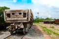 Wagons are near the plant