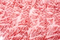 Wagyu beef marbled meat Royalty Free Stock Photo