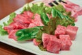 Wagyu premium japanese beef ready for grill, yakiniku japanese f