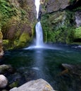 Wahclella Falls In Columbia River Gorge Royalty Free Stock Photo