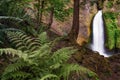 Wahclella Waterfall in the Columbia River Gorge in Oregon Royalty Free Stock Photo